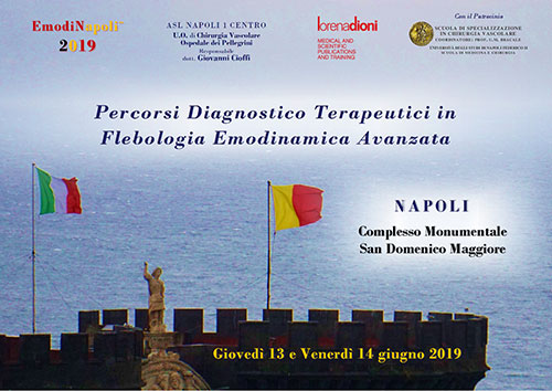 Copertina EmodiNapoli 2019 500